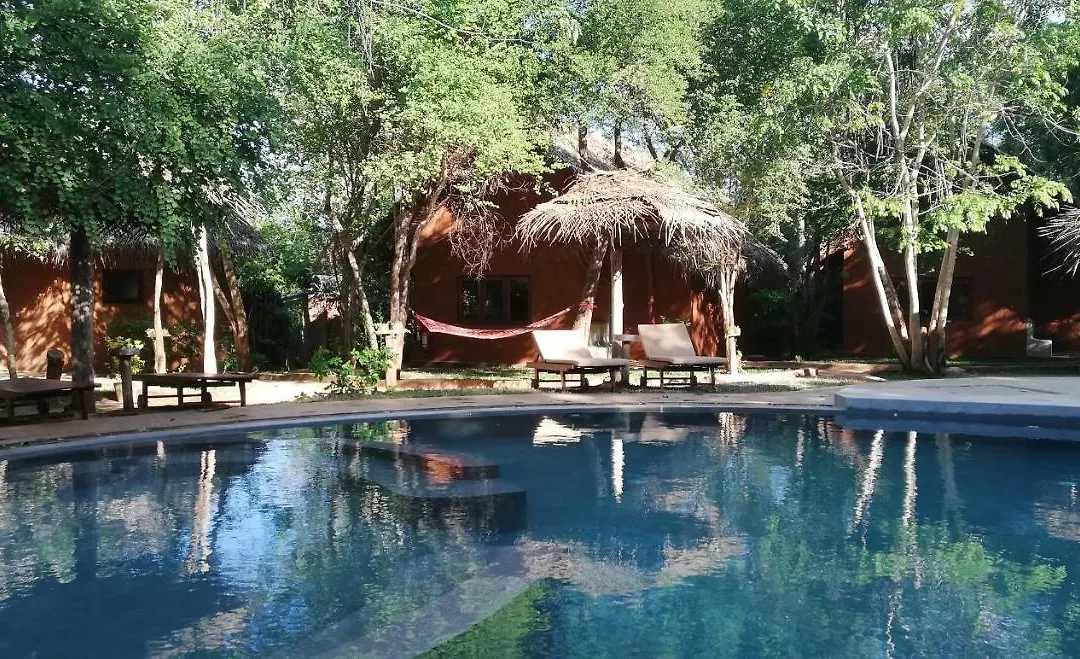 Kuwera Eco Lodge-1
