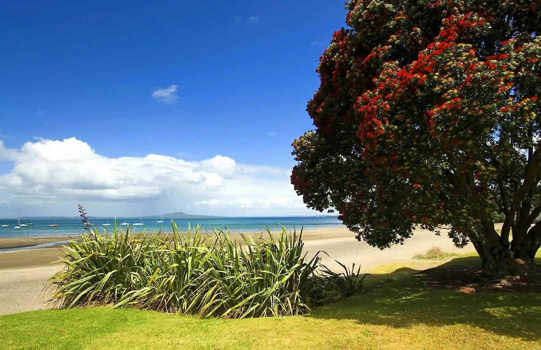 Ramada Suites By Wyndham Auckland - Federal Street-1