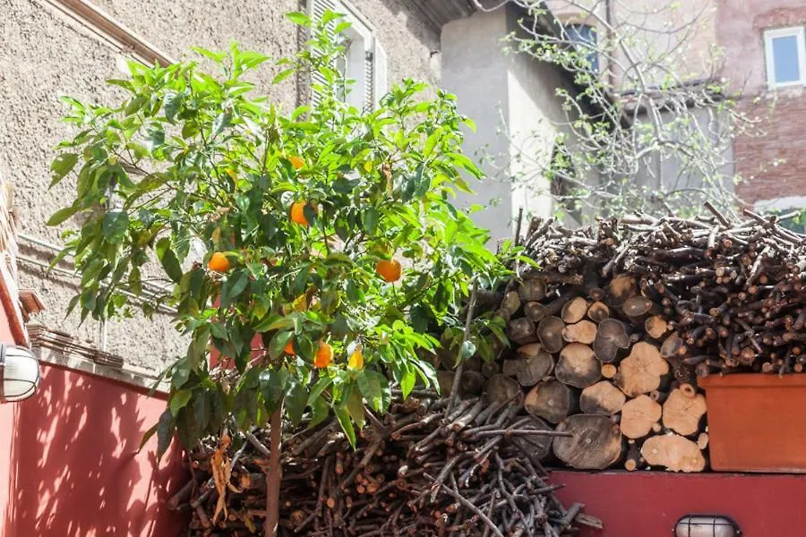 Casa In Monti-1