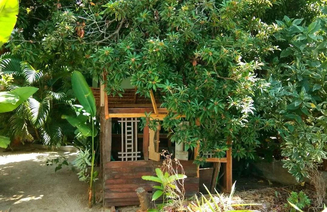 Cafe Des Arts Gili Air-1