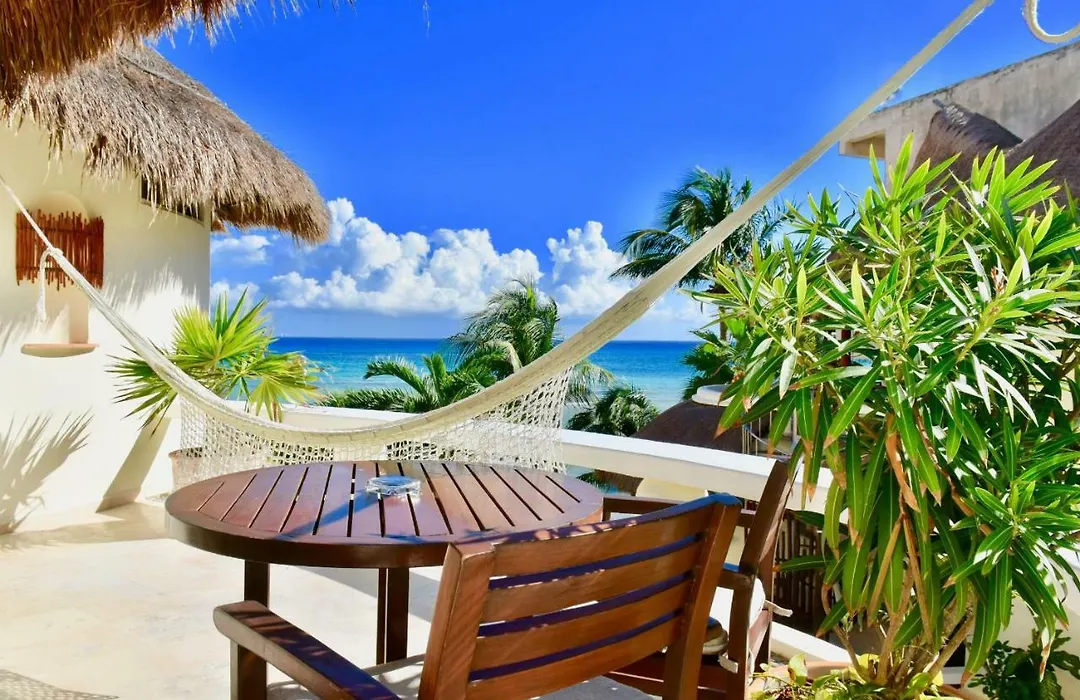 Playa Palms Beach Hotel-1