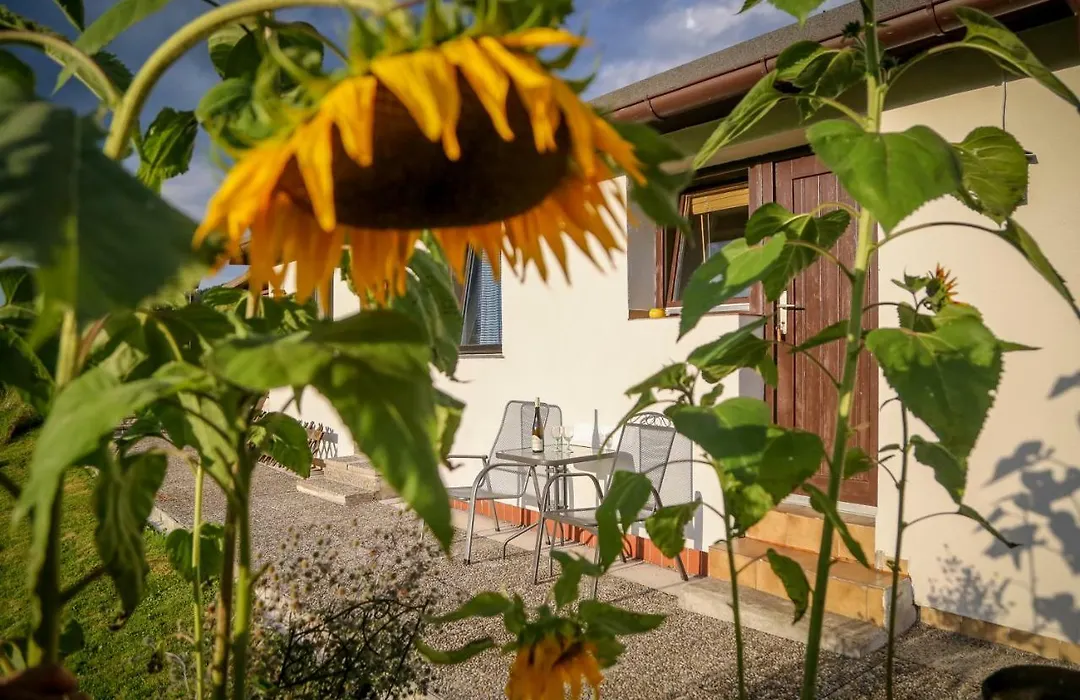 Pension Rauschberghof-1