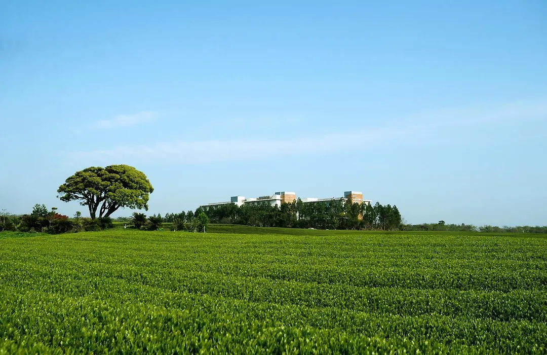 Jeju Aerospace Hotel-1