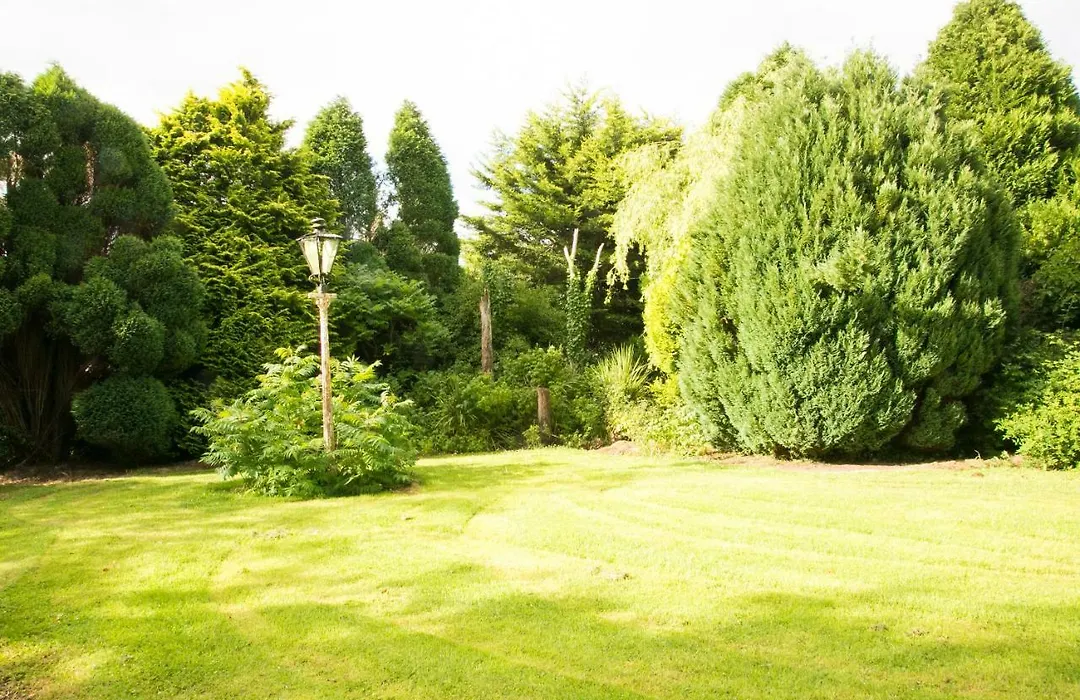 The Orchard Bed And Breakfast-1