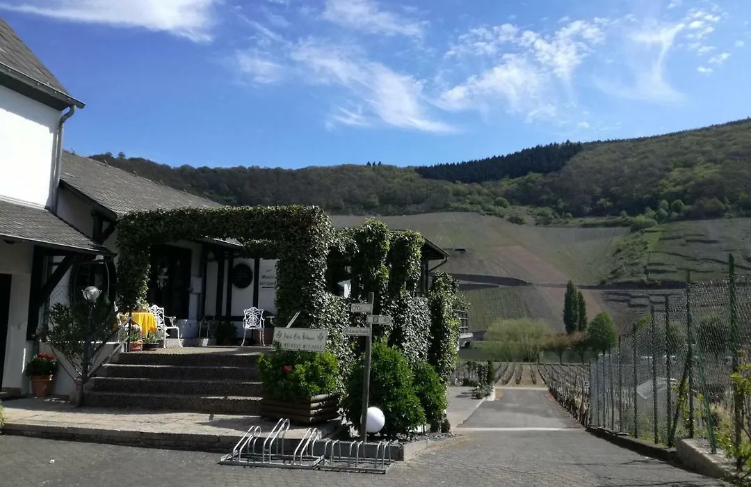 Wein&Gästehaus Ballmann-1