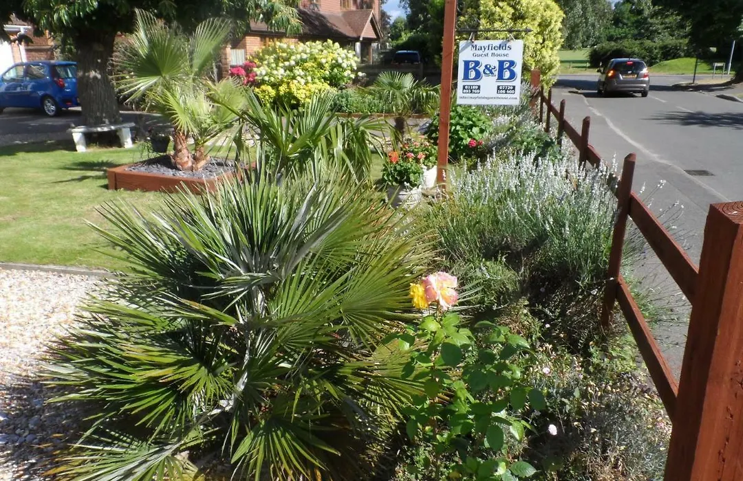 Mayfields Guest House-1