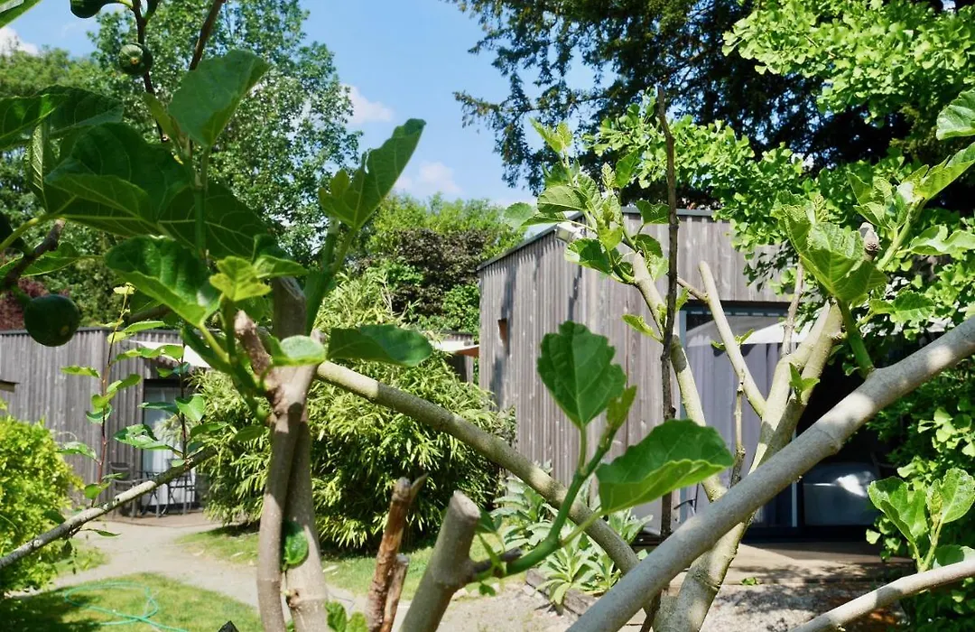 Les Cabanes de Do-1