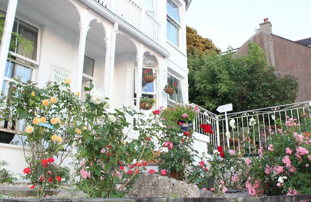 Silver Birch Guesthouse-1