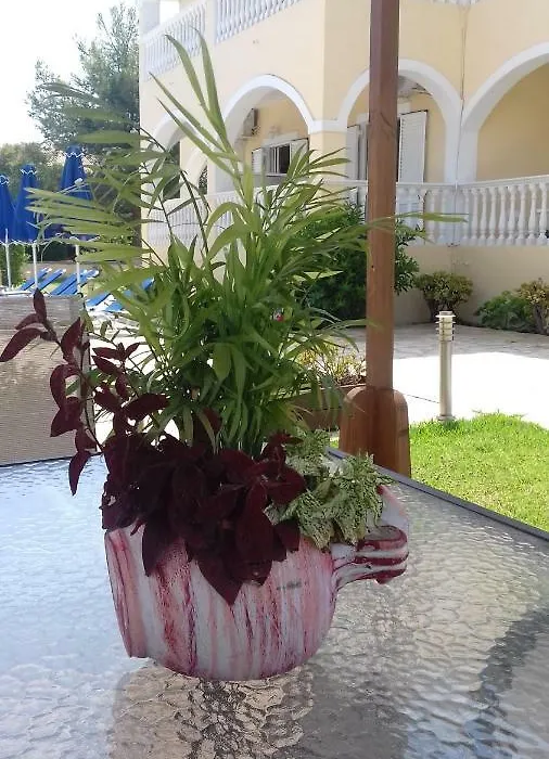 Anastasias House-1