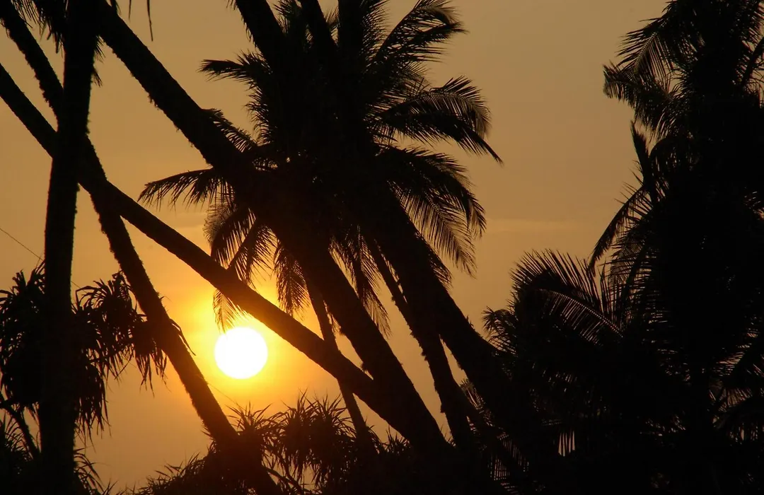 Lanka Beach Boutique Bungalows & Grand Villa-1