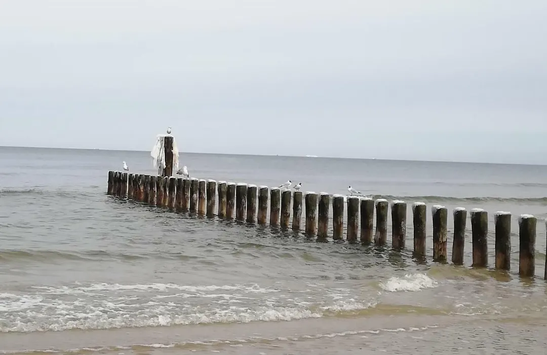 Pension Achteridyll-1