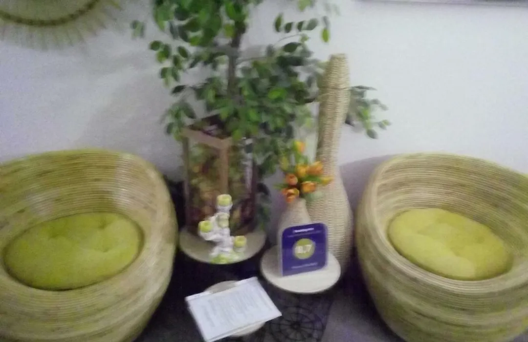 Pension Waldidyll-1