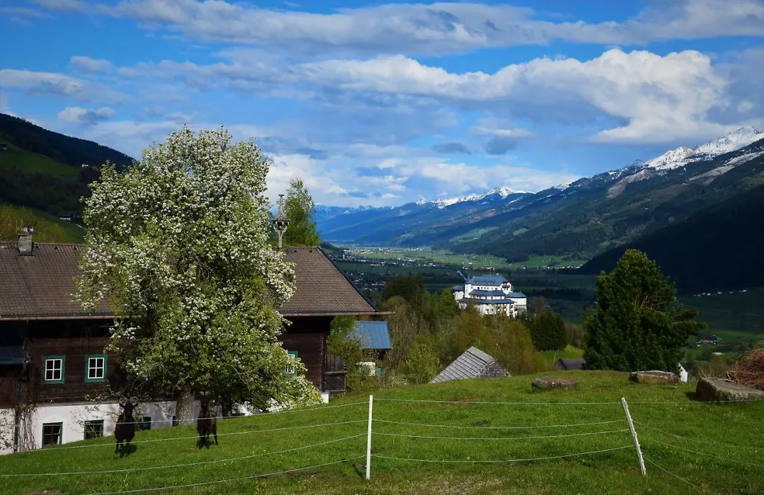 Pension Schachernhof-1