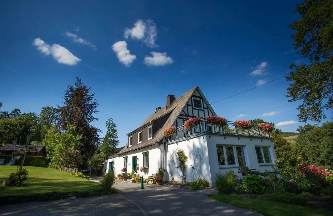 Pension Haus Am Walde-1