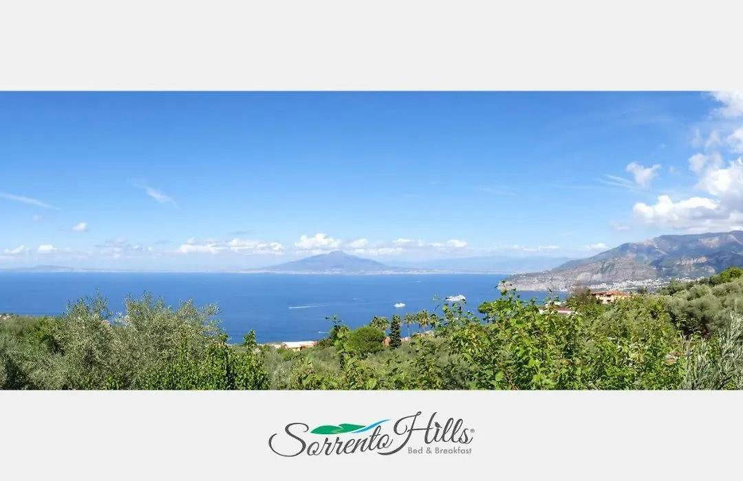 Sorrento Hills-1