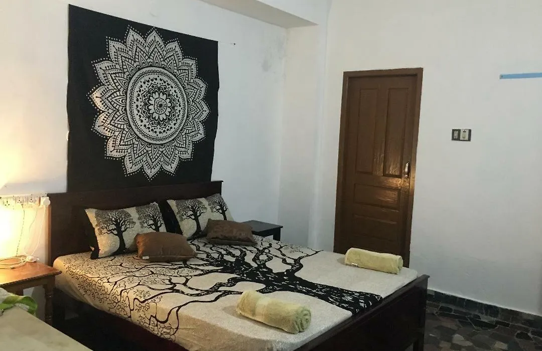 Zen House-1