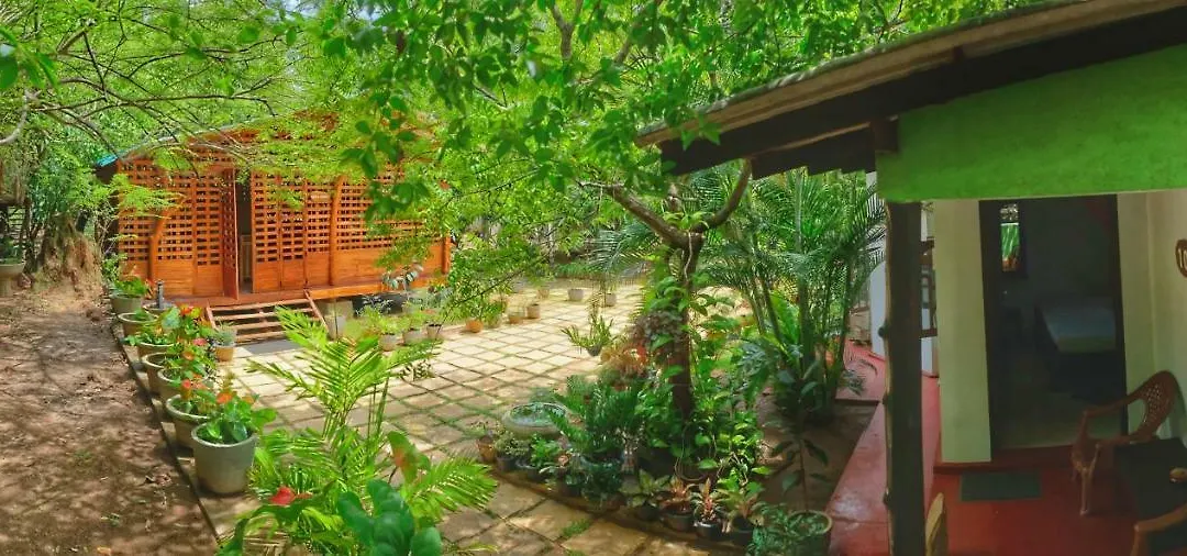 Golden Rainbow Guest House-1