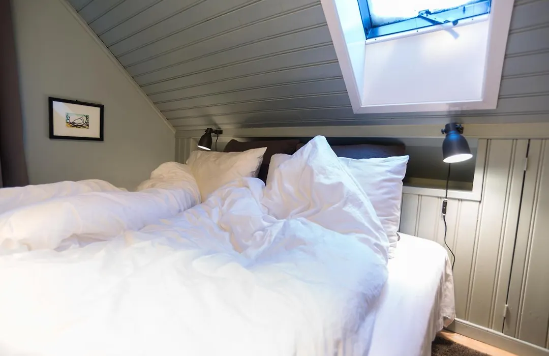 Reykjavík Treasure B&B-1