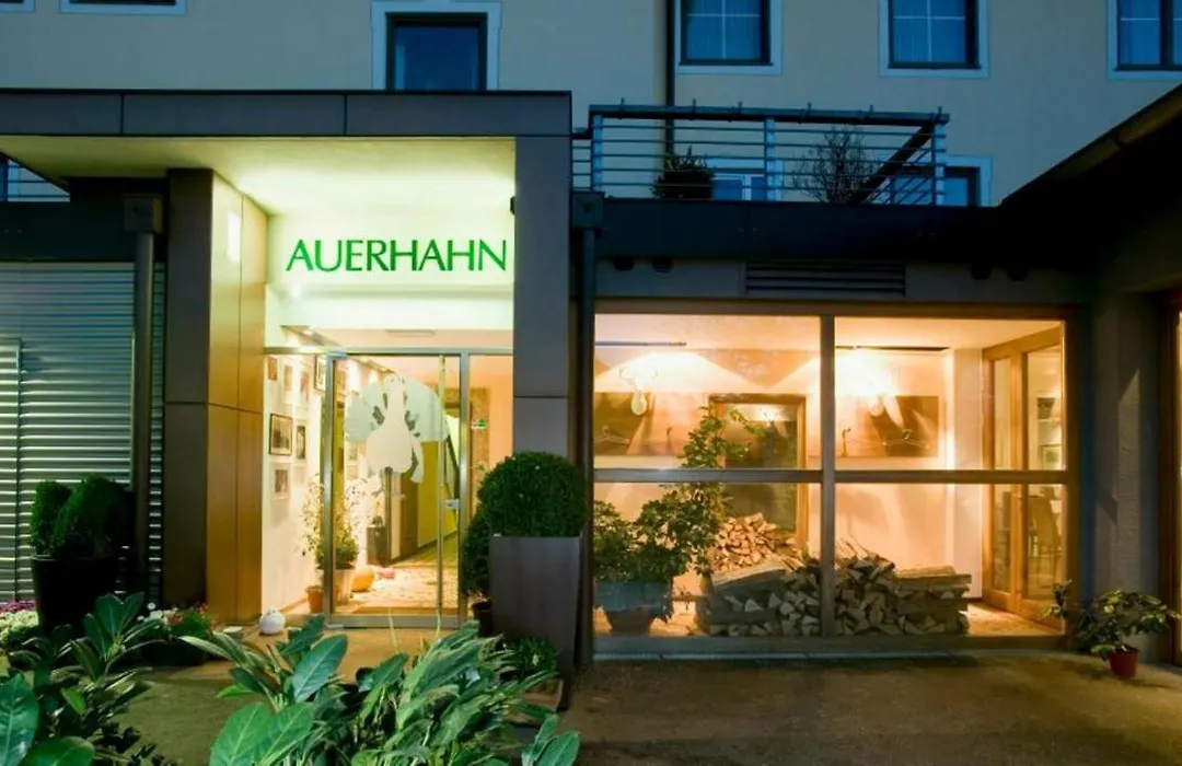 Hotel Restaurant Auerhahn-1