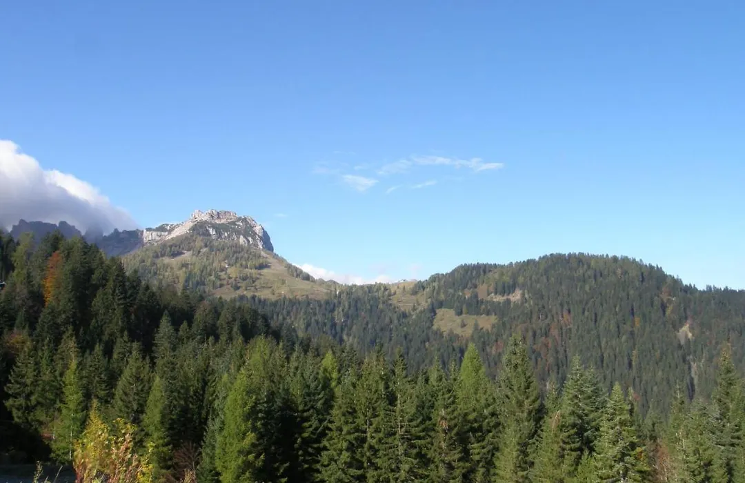 Alpenhotel Marcius-1