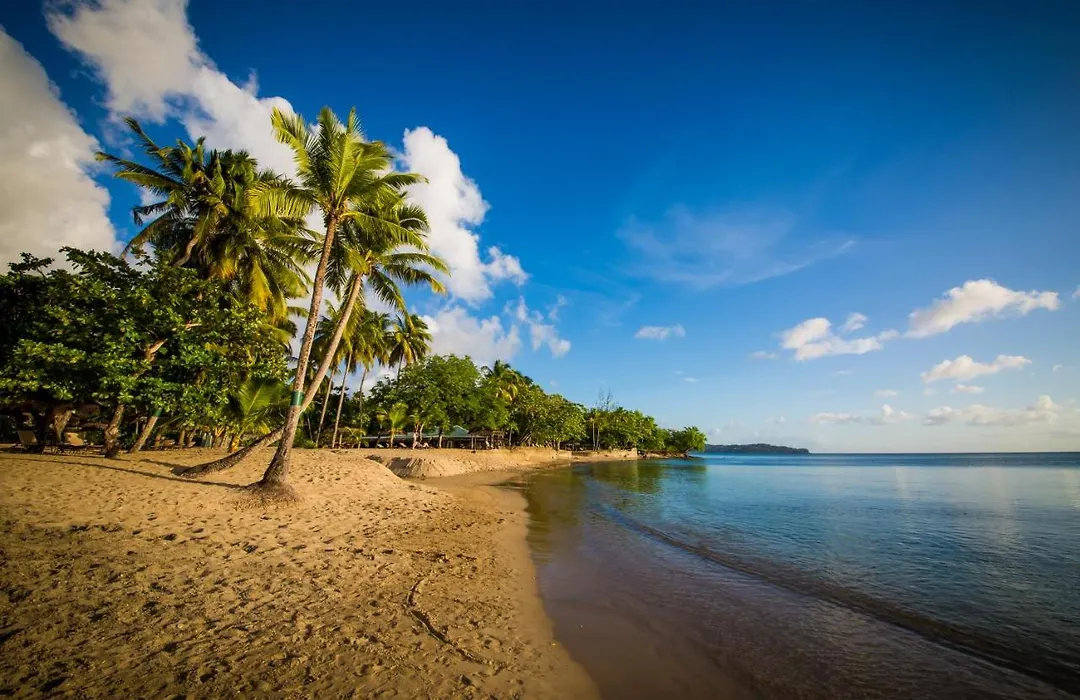East Winds Saint Lucia-1