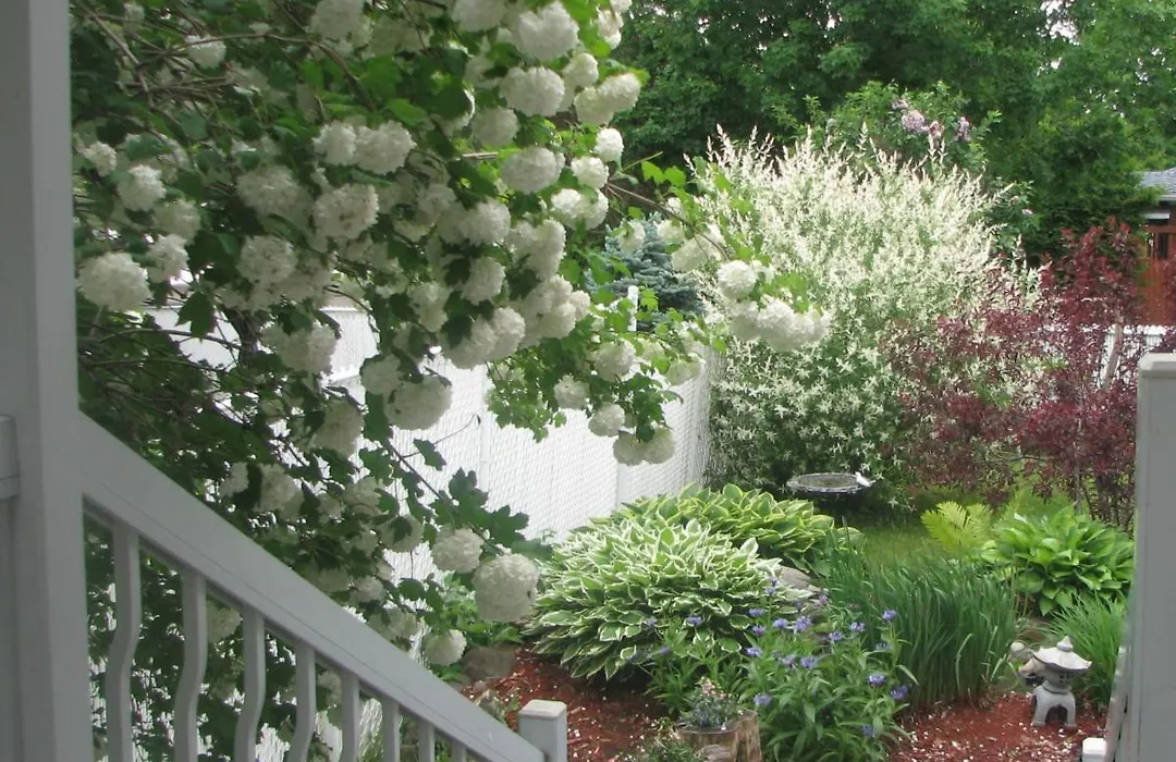 Magnolia B&B-1