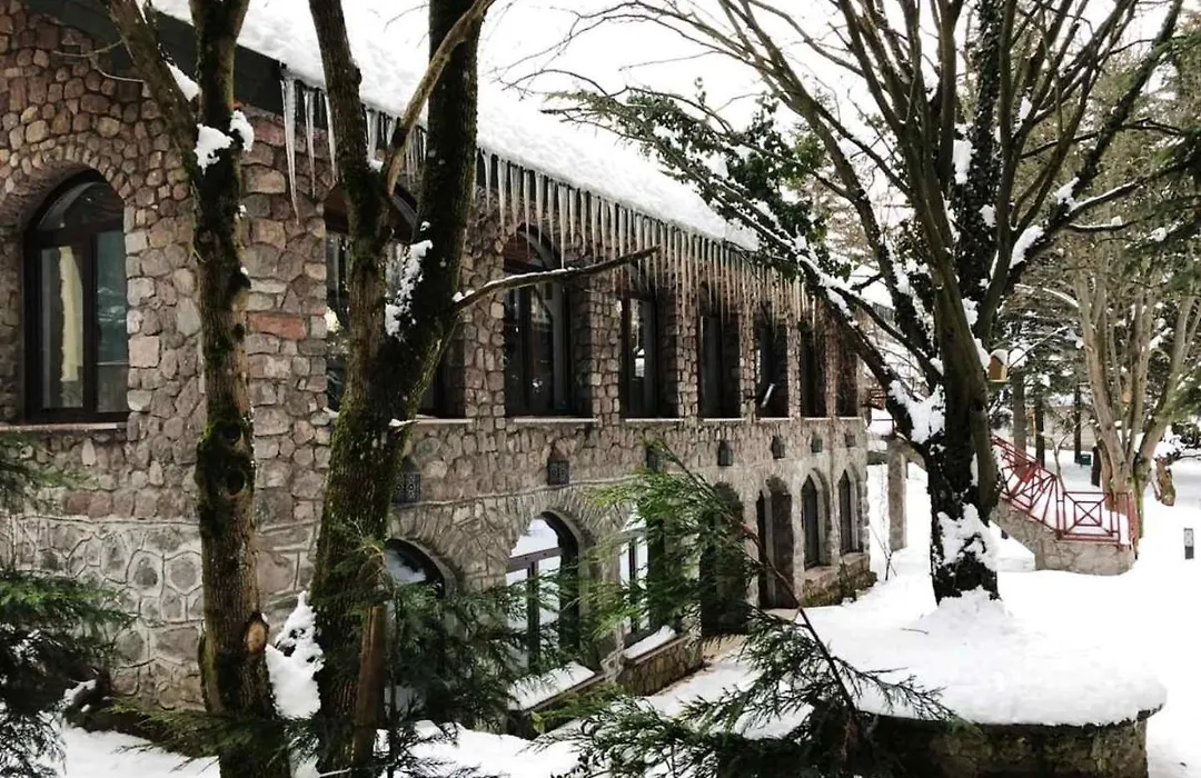 Bolu Koru Hotels Spa & Convention-1