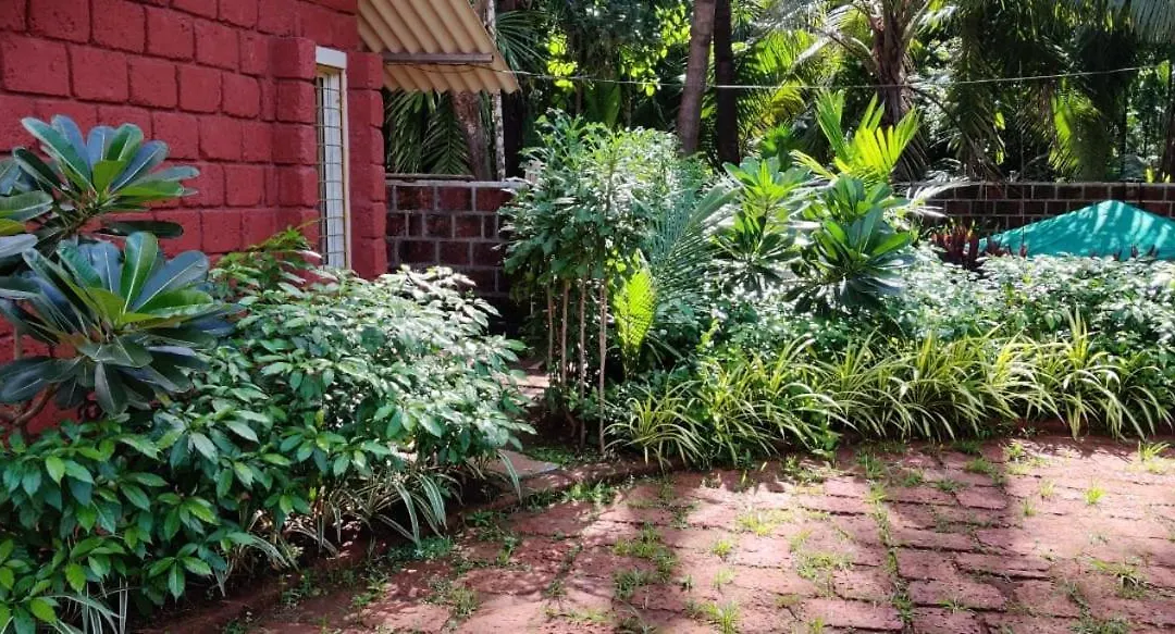 Oasis Resort-1