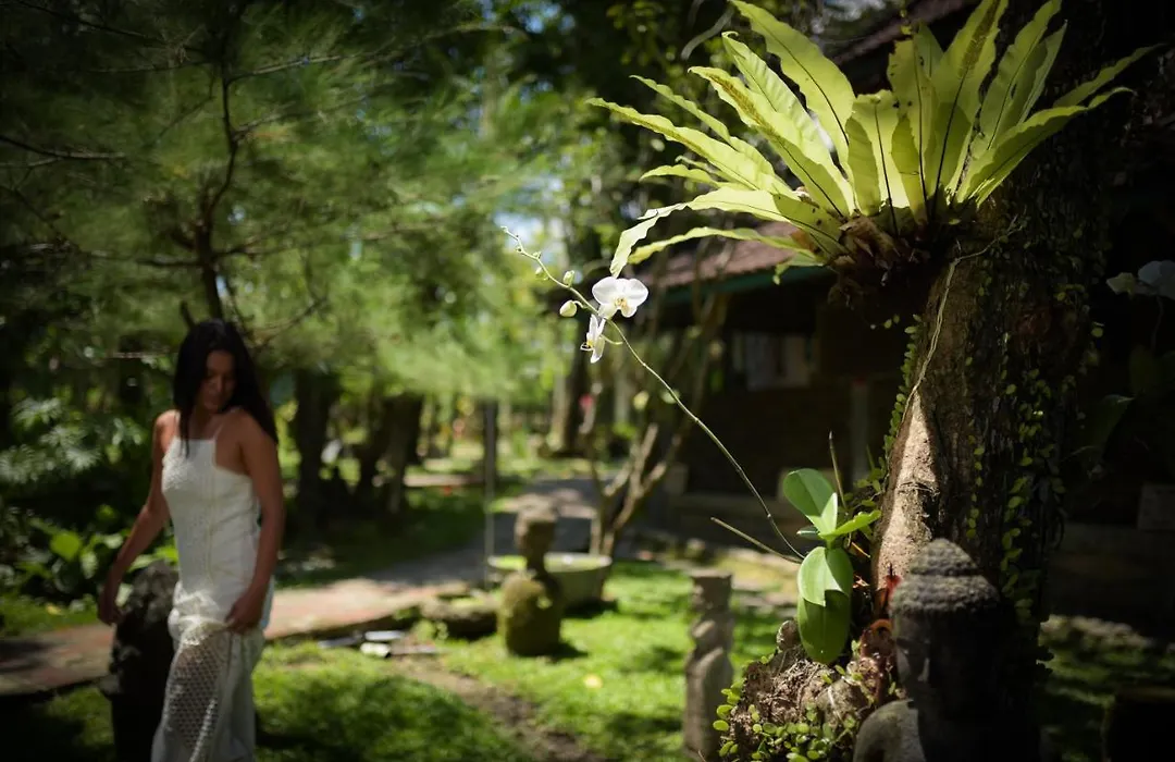 Taman Nauli Boutique Rooms-1