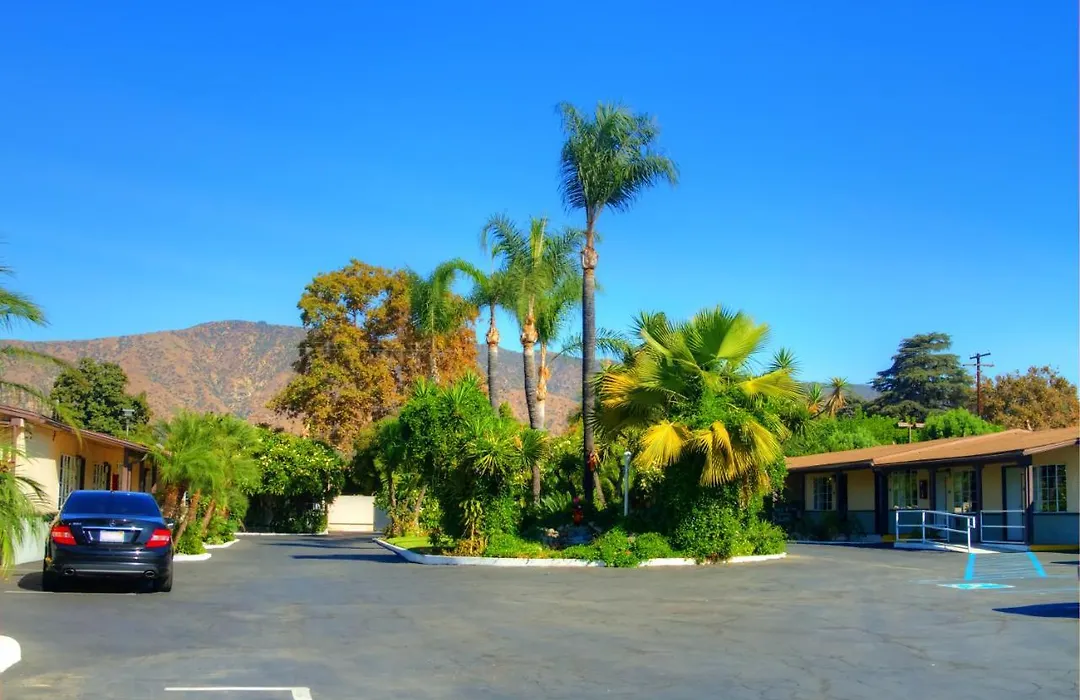 Palm Tropics Motel-1