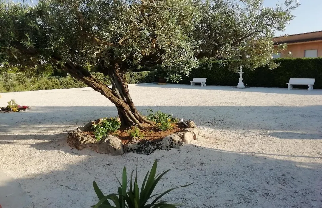 Stella Di Mare Appartamenti-1