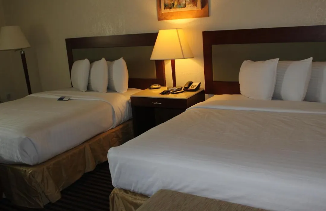 Lexington Inn & Suites-Elgin-1