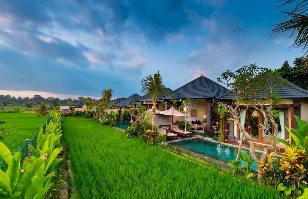 Bliss Ubud Spa Resort-1