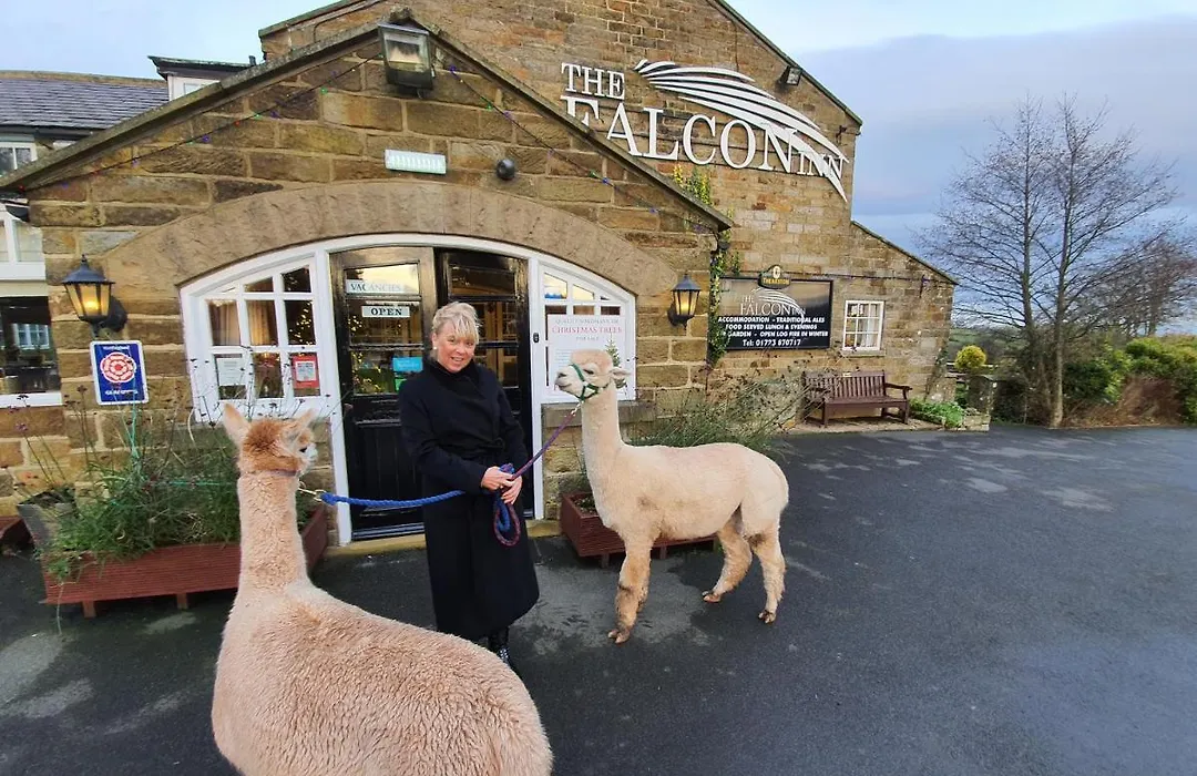 The Falcon Inn-1