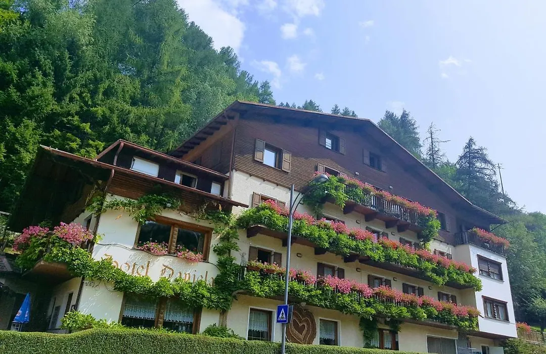Hotel Daniela-1