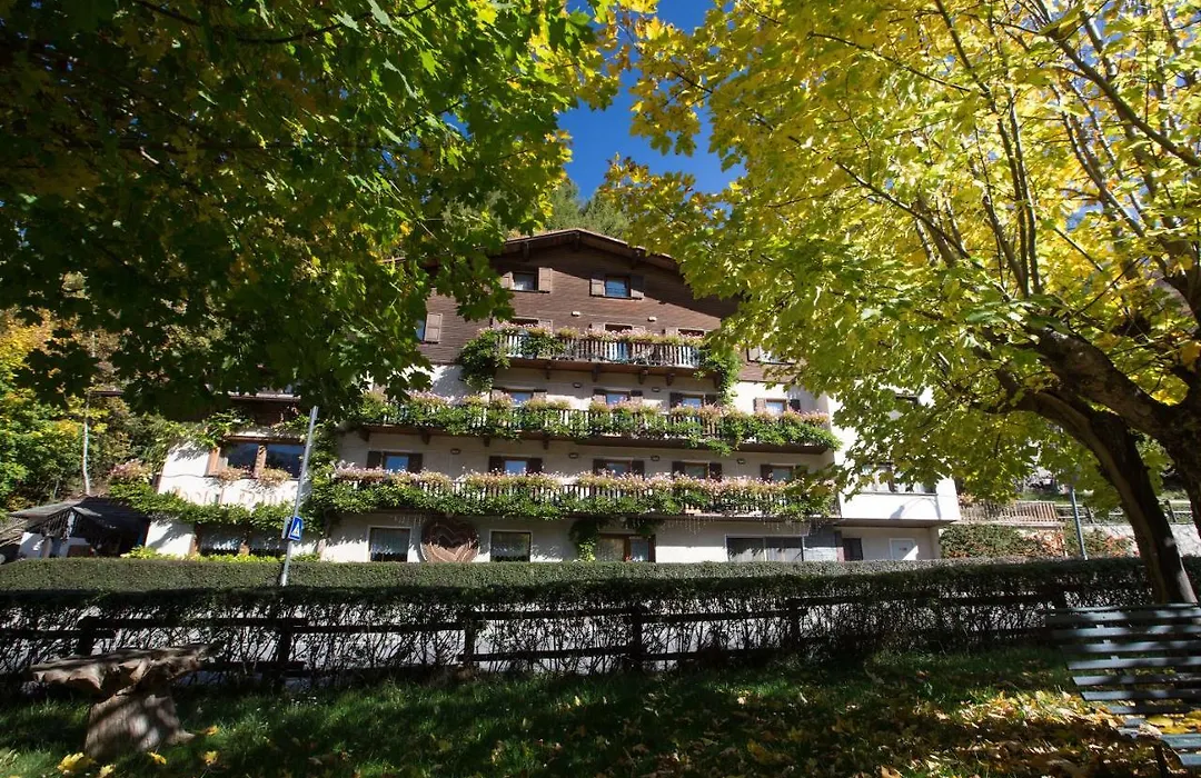 Hotel Daniela-1