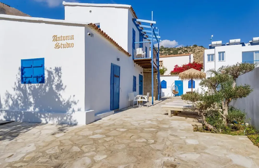 Antonia Studios-1