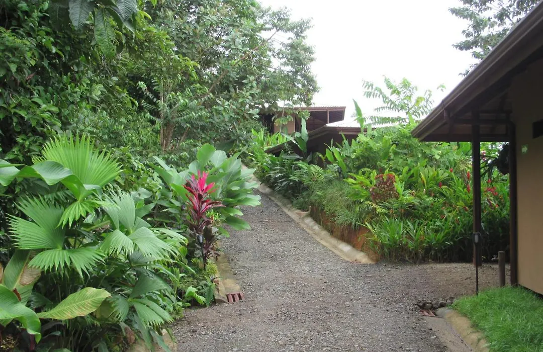 Drake Bay Greenleaf-1