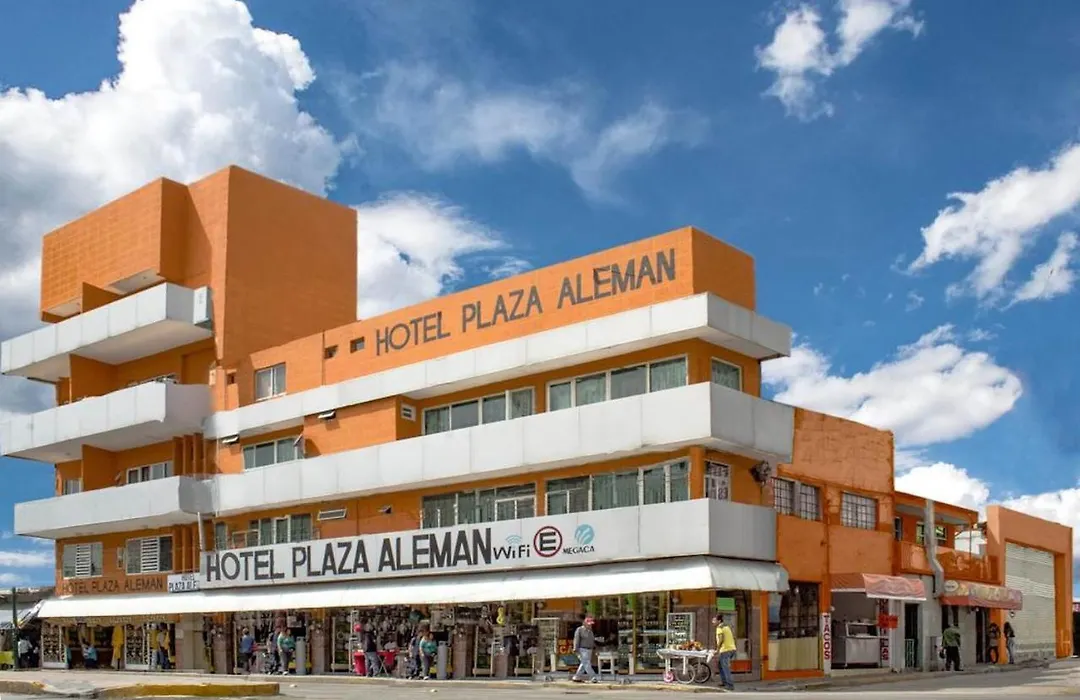 Hotel Plaza Aleman-1