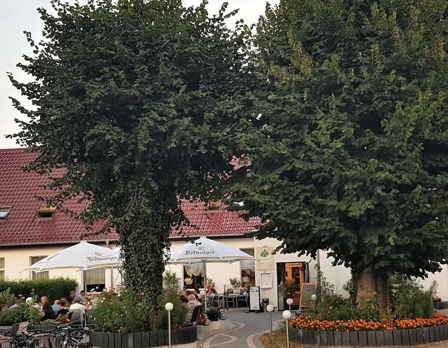 Lindenhof Liepgarten - Pension&Gaststätte-1