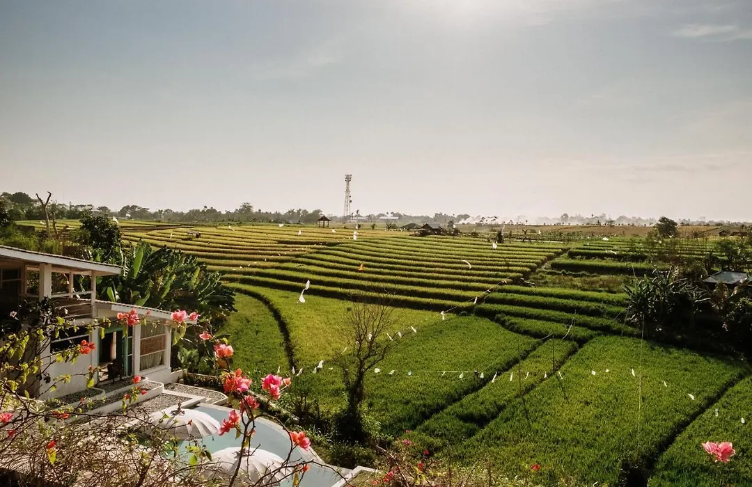 Boho Canggu-1