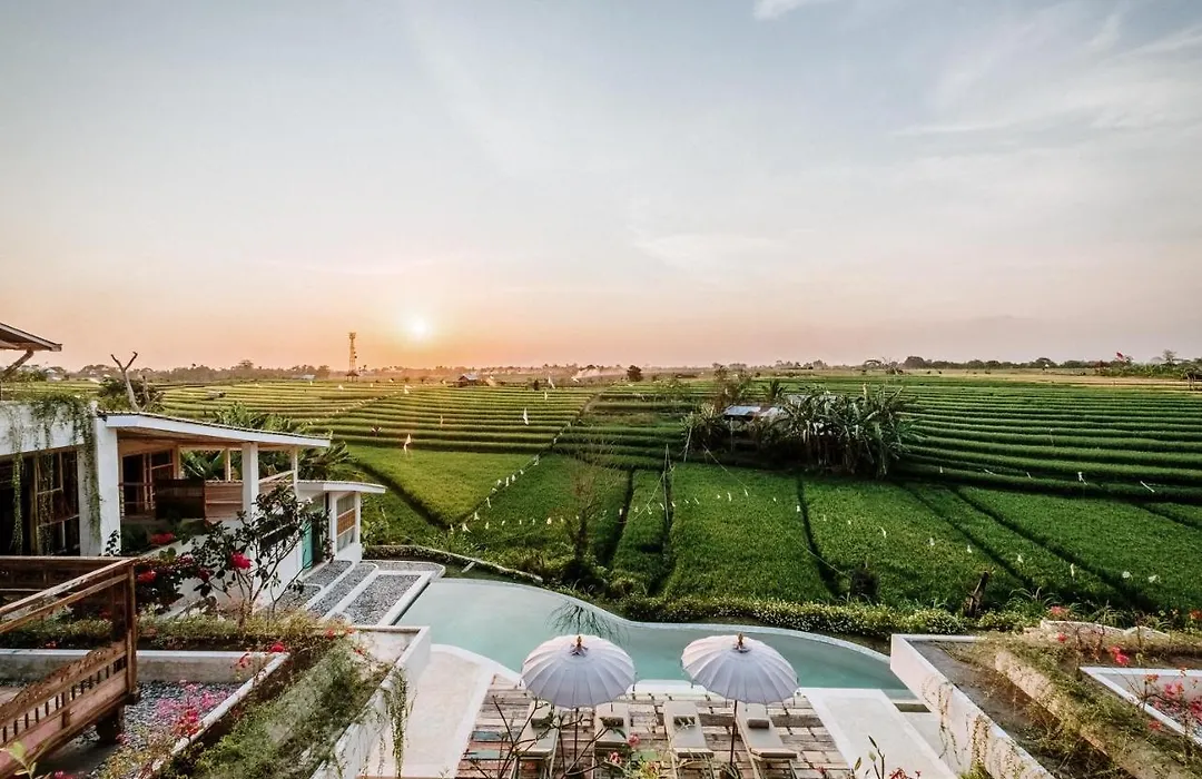 Boho Canggu-1
