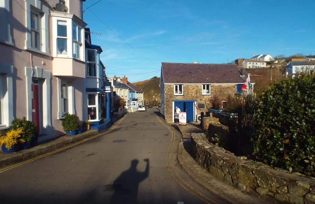 Pendyffryn Manor Bed & Breakfast-1