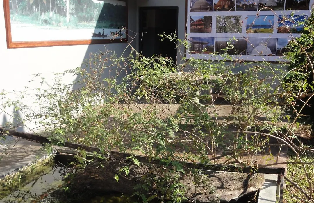 The Yala City Guest House-1