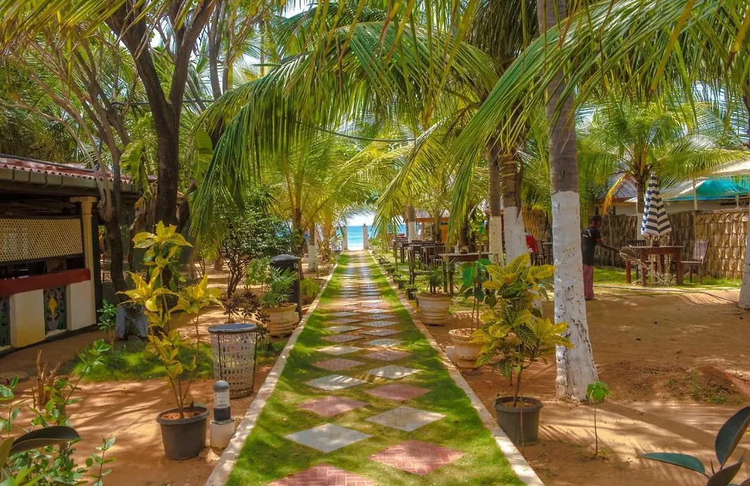 Coconut Beach Lodge-1