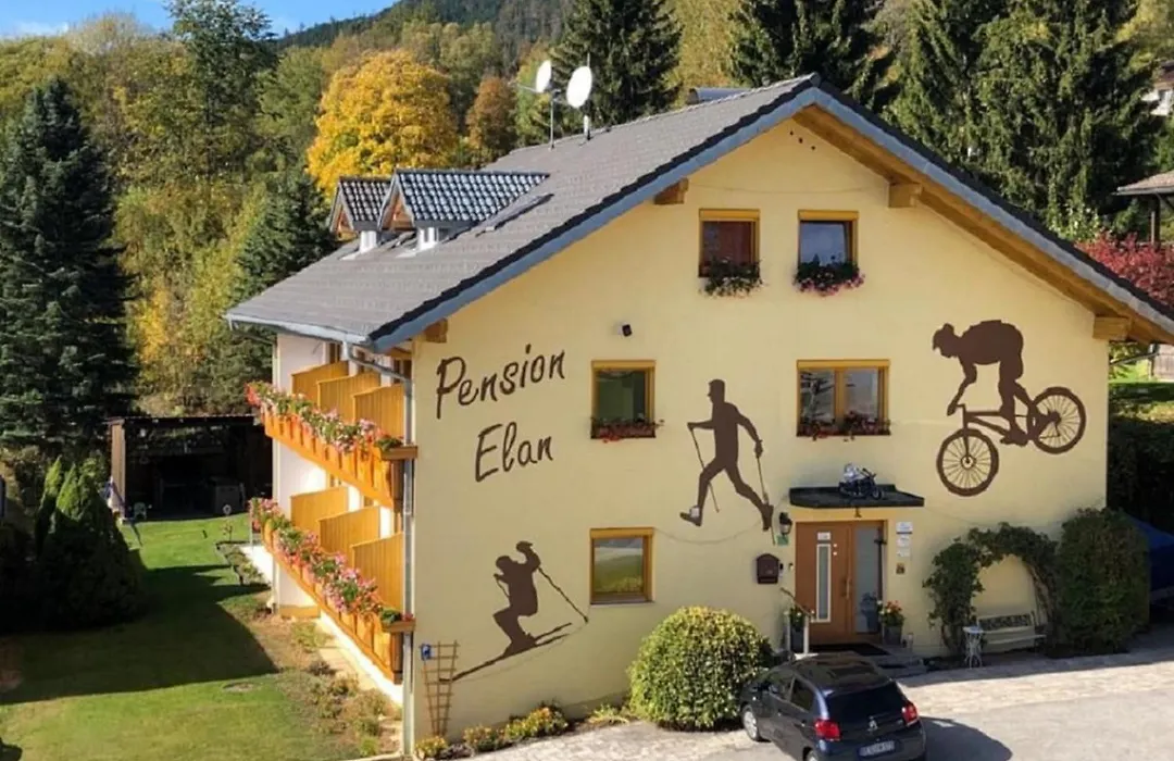 Pension Elan-1