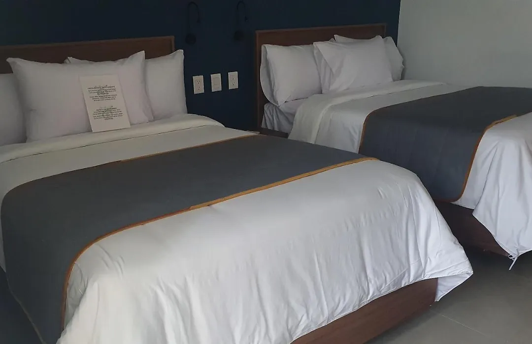 Hotel Boutique Parque Centro-1