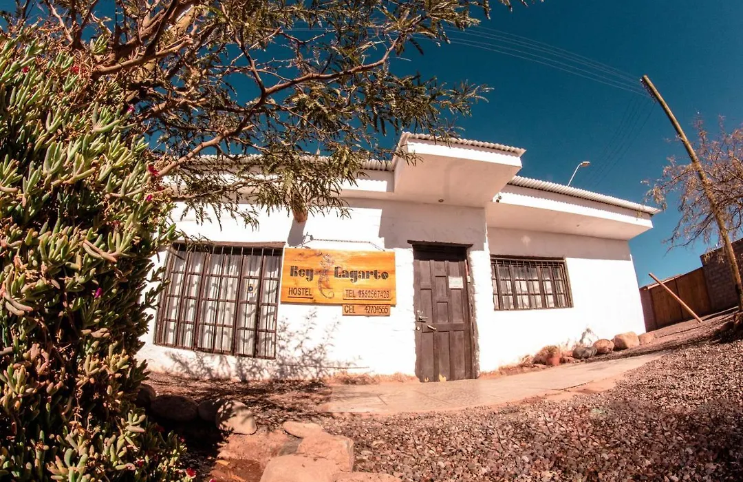 Rey Lagarto Hostel-1