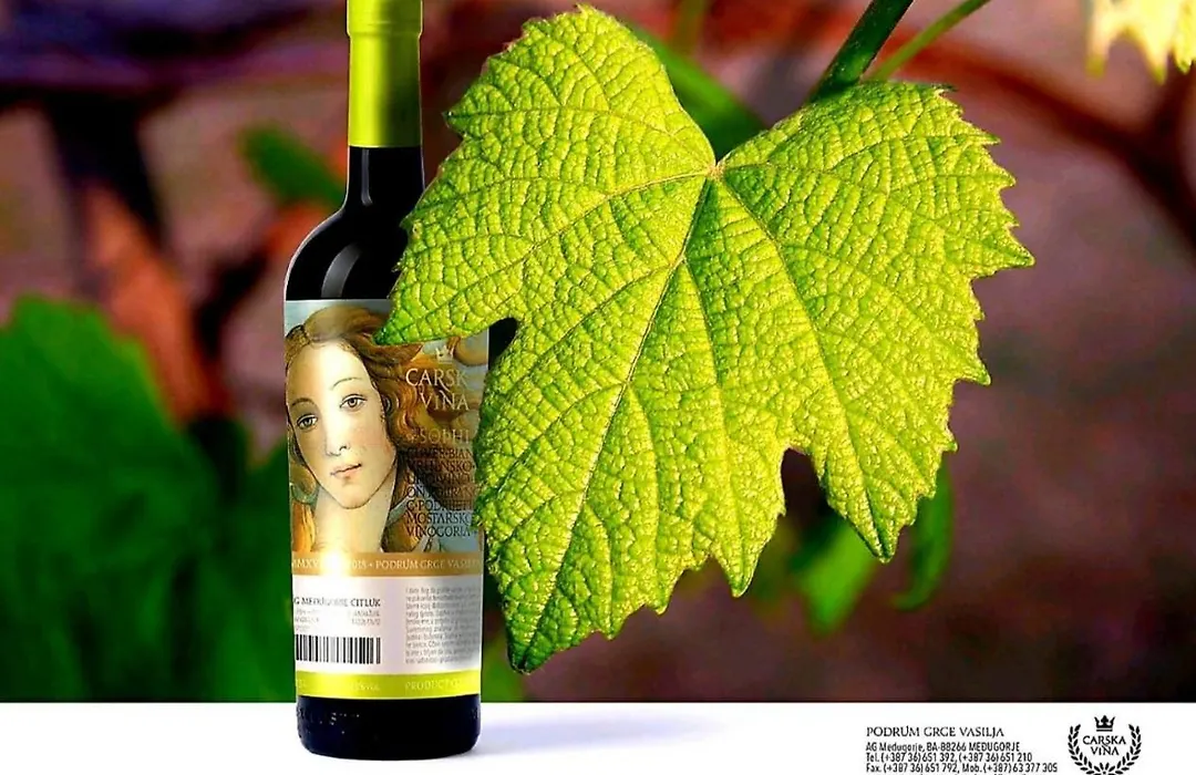 Wine Hotel Cesarica-1