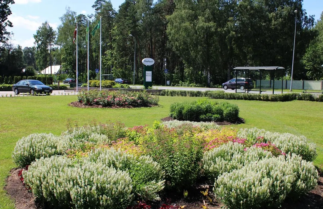 Pine Resort-1